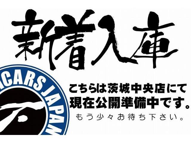 デュトロ 4.0Dワイド ローダーダンプ積載3.7tラジコン